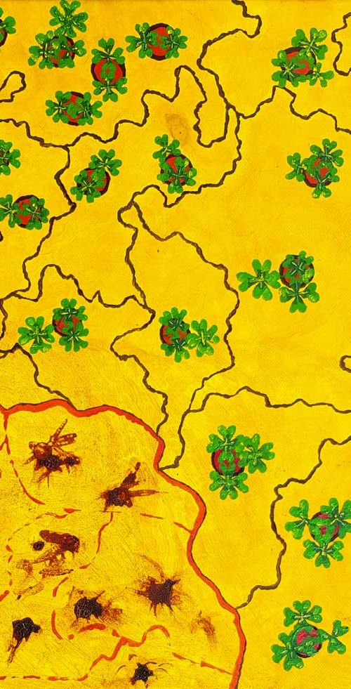 DIMMI di Storie Migranti: Comunicazione e Digital Strategy