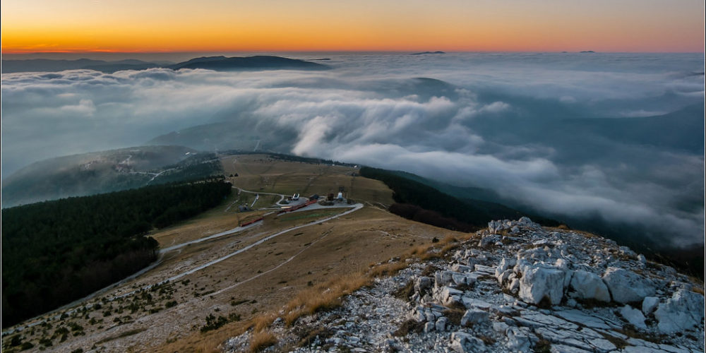 Frontignano Art Walks: stakeholder management e strategia di comunicazione